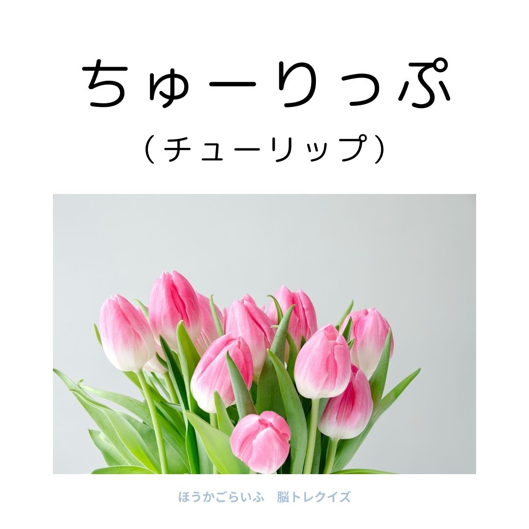 高齢者向け（無料）言葉の並び替えで脳トレしよう！文字（ひらがな）を並び替える簡単なゲーム【花の名前】健康寿命を延ばす鍵